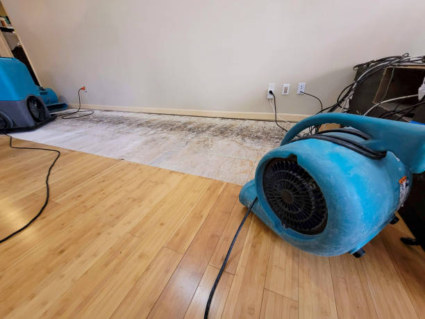Professional Basement Flood Cleanup technician working in Malden Bridge, NY